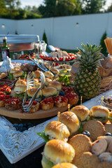 A table full of various dishes, small bites, outdoor party catering spread.