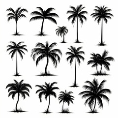 Tropical palm trees set silhouettes