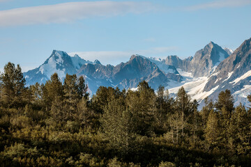 Obraz premium Ford's Terror Wilderness 3