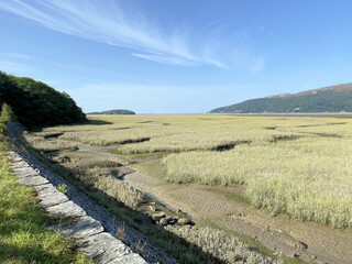 A view of the North Wales countryside along the Mawddach Trail