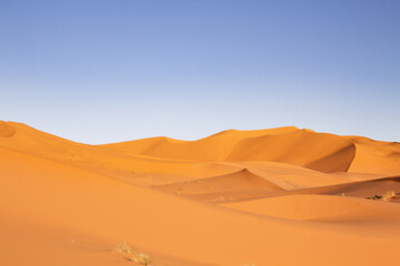 Fototapeta na wymiar sand dunes, Sahara desert, Morocco, Africa