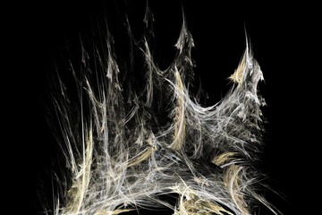 feathers on black background