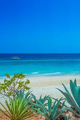 Crédence en verre imprimé Plage de Nungwi, Tanzanie Sand and ocean at Zanzibar beach