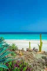Crédence de cuisine en verre imprimé Plage de Nungwi, Tanzanie Sand and ocean at Zanzibar beach