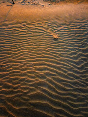 Ripples of orange sand rings at sunset. Camargue, Gard, France