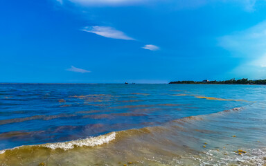 Tropical mexican beach clear turquoise water Playa del Carmen Mexico.