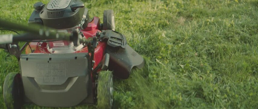 A man mows the grass with a lawn mower in slow-motion on a sunny spring day