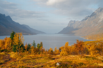 Autumn in Tromso and it's neighbouring island Kvaloya - 657326010