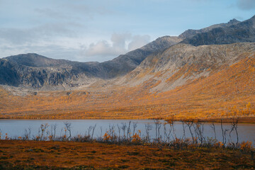 Autumn in Tromso and it's neighbouring island Kvaloya - 657326224