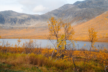 Autumn in Tromso and it's neighbouring island Kvaloya - 657326491