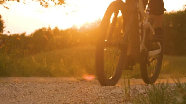 CLOSE UP, LENS FLARE Woman cycling on gravel road with a running dog by her side. Bike rider and doggo leave clouds of dust behind as they move fast along rural macadam trail in golden autumn light.
