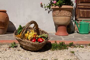 Still life with harvested crop of fresh organic veggies in wicker basket. Agriculture. Food. Sustainable lifestyle.