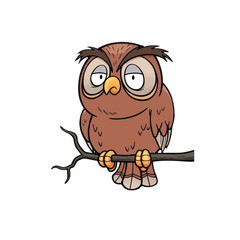 owl on branch