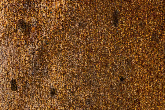 Rost