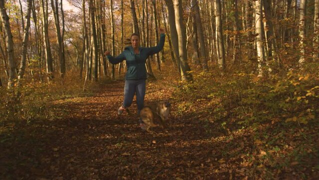 PORTRAIT: Runner almost falls over her dog as they run along autumn forest trail. A playful dog crosses the path of a lady who stumbles but keeps her balance. Funny accidents can happen to dog owners.