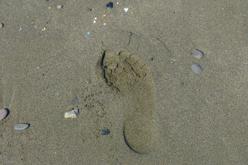 trace of a man's bare foot on the sea beach 6