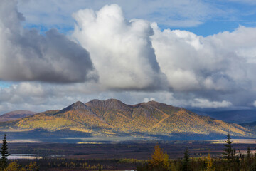 Autumn in polar tundra