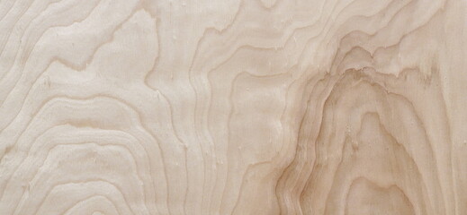 Close up Knot of Wood as Background