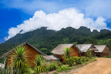 Fototapeta na wymiar Beautiful landscape Doi Luang Chiang Dao beautiful mountain in chiang mai Thailand..