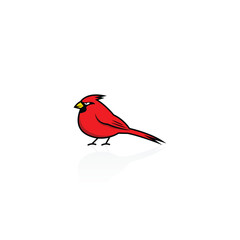 Red cardinal isolated vector graphics