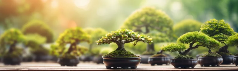 Fotobehang Bonsai Bonsai tree banner  © kramynina
