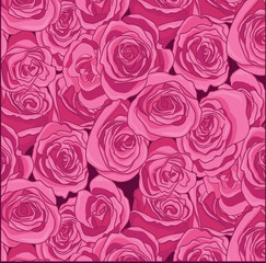 pink roses pattern