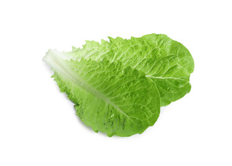 Fresh green leaves of romaine lettuce isolated on white