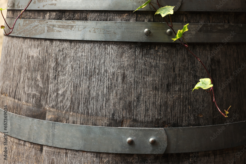 Wall mural Traditional wooden barrel and ivy as background, closeup. Wine making