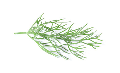 Obraz premium One sprig of fresh dill isolated on white
