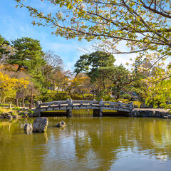Fototapeta premium Kyoto, Japan - March 28 2023: Unidentified people spend time in a beautiful full bloom Cherry Blossom - Sakura in scenic spring time at Maruyama park