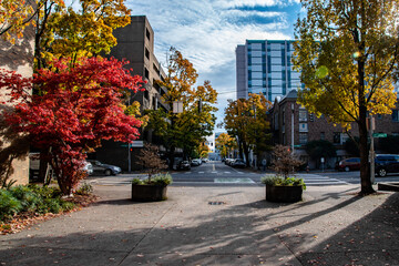 Fall Colors and Portland, Or Park and Skyline