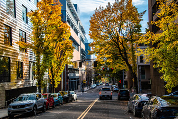 Looking Down Street in Downtown Southwest Portland, OR With Vibrant Fall Colors and Shadows