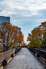 Walkway High Above Streets of Downtown Portland, OR in Fall