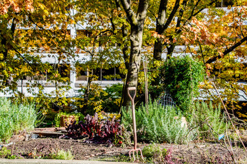 Urban Community Garden With Fall Colors and Skyscraper - Portland, OR