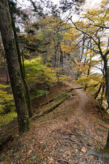 Fototapeta premium Climbing Mount Arafune, Gunma, Japan