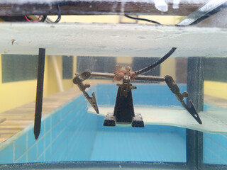 aquarium with metal items undergoing electrolysis