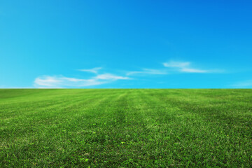 Fototapeta na wymiar Beautiful lawn with green grass under blue sky