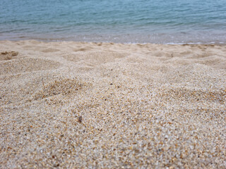 This is a close-up of the beach sand.