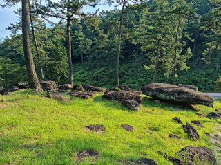 
It is a meadow with a dolmen.