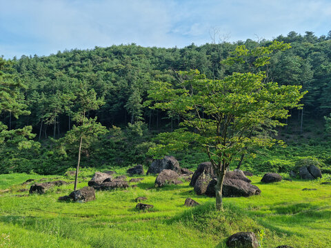 This is a dolmen park in Jeolla-do, South Korea.