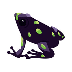 frog black with spot