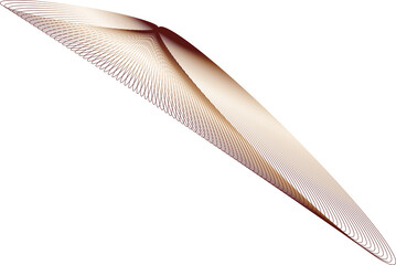 Wireframe Colorful Shape with Transparent Background