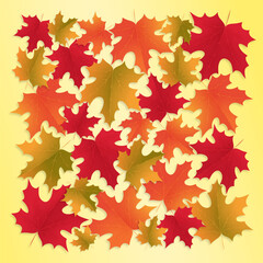 Composition with colorful autumn maple leaves. Autumn maple leaves set pattern vector digital art print. Red, yellow, orange maple leaves on a yellow background