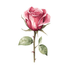 Obraz premium Bring your creative projects to life with this red rose and green leaves floral illustration, ideal for designing bouquets, wreaths, arrangements and adding a special touch to your