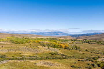 Fototapeta na wymiar Aerial view of Patches of Autumn colored leaves in the California Eastern Sierras landscape with snow capped mountains small clouds and copy space against a bright blue sky in the background.