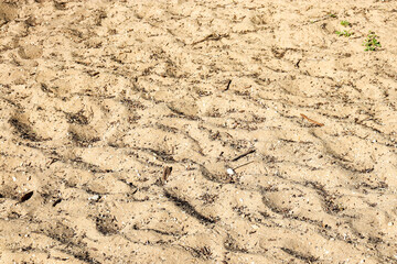 beach sand texture background