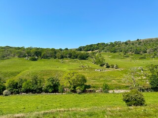 Obraz premium Rural landscape on Stubbing Lane, with extensive fields, wild plants, hills and trees near, Deepdale, Buckden, UK