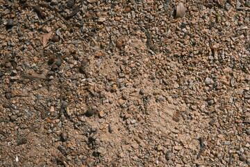 texture of the gravel on the ground with mixed natural debris 