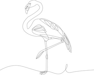 vector flamenco or flamingo line art