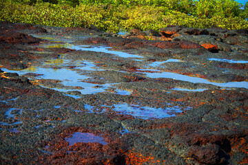Red Iron Colored Tidal Pools of the Australian Top End
